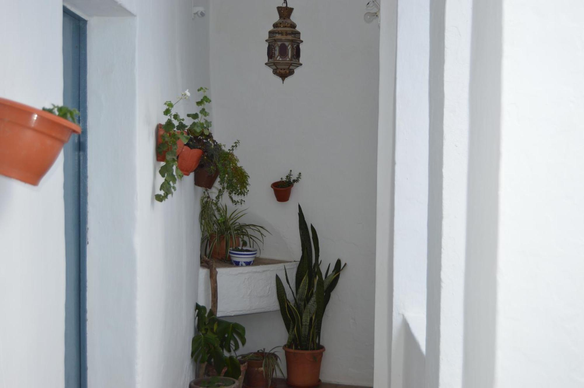 Апартаменты Nuestra Casa En Vejer Вьер де ла Фронтера Экстерьер фото